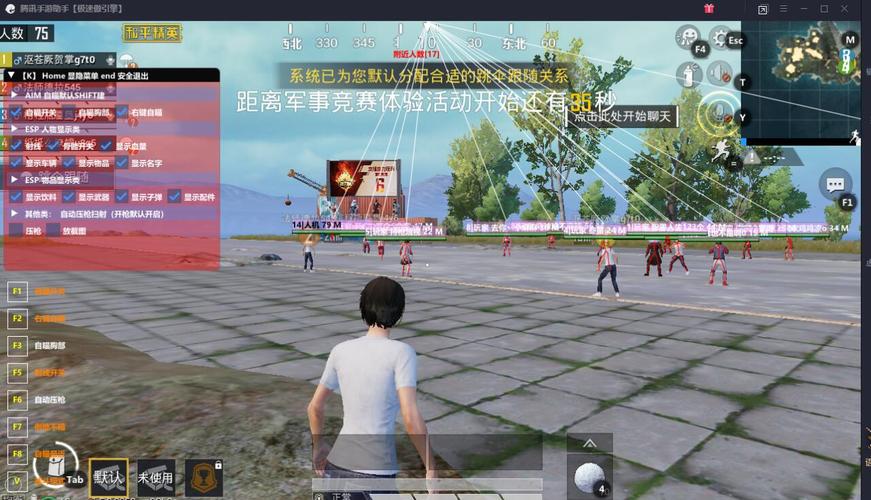 和平精英辅助软件的发展与影响分析